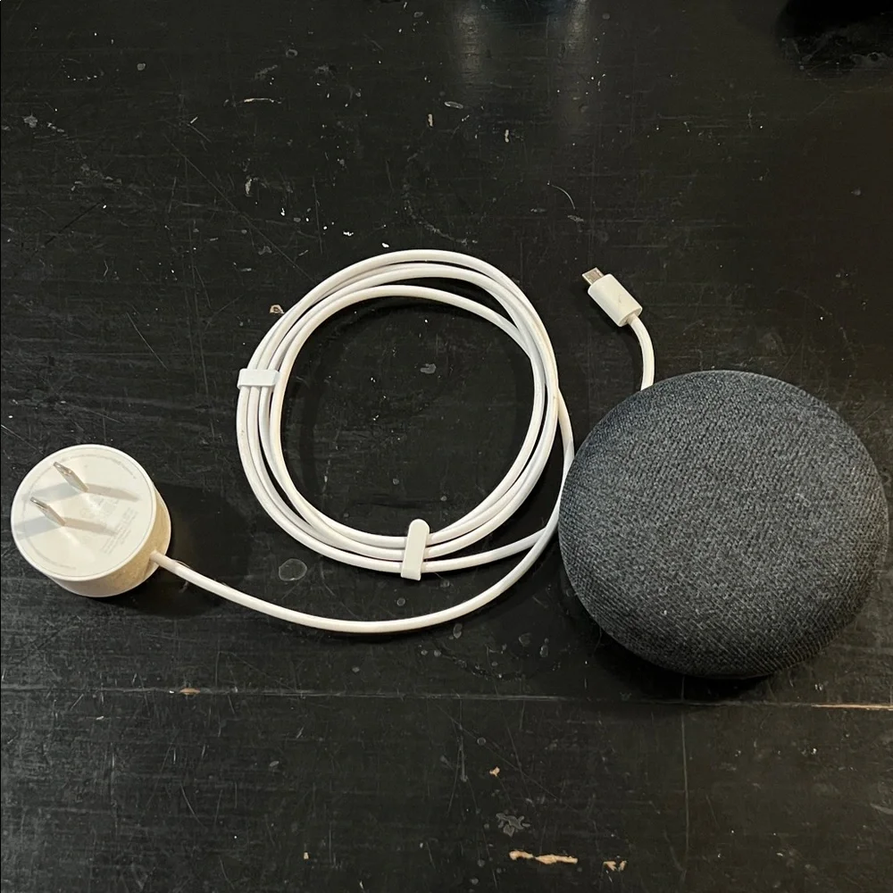 Google Nest Mini in Charcoal with White Cable