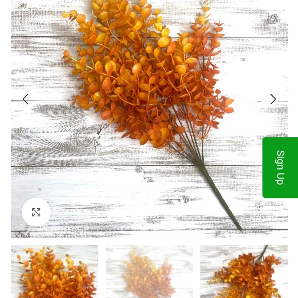 Vibrant Orange Faux Eucalyptus 12 pack coffee color
