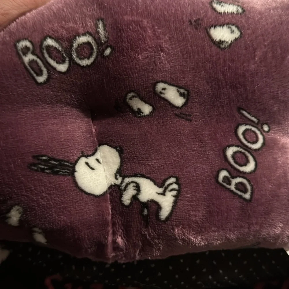 Peanuts dog small snoopy