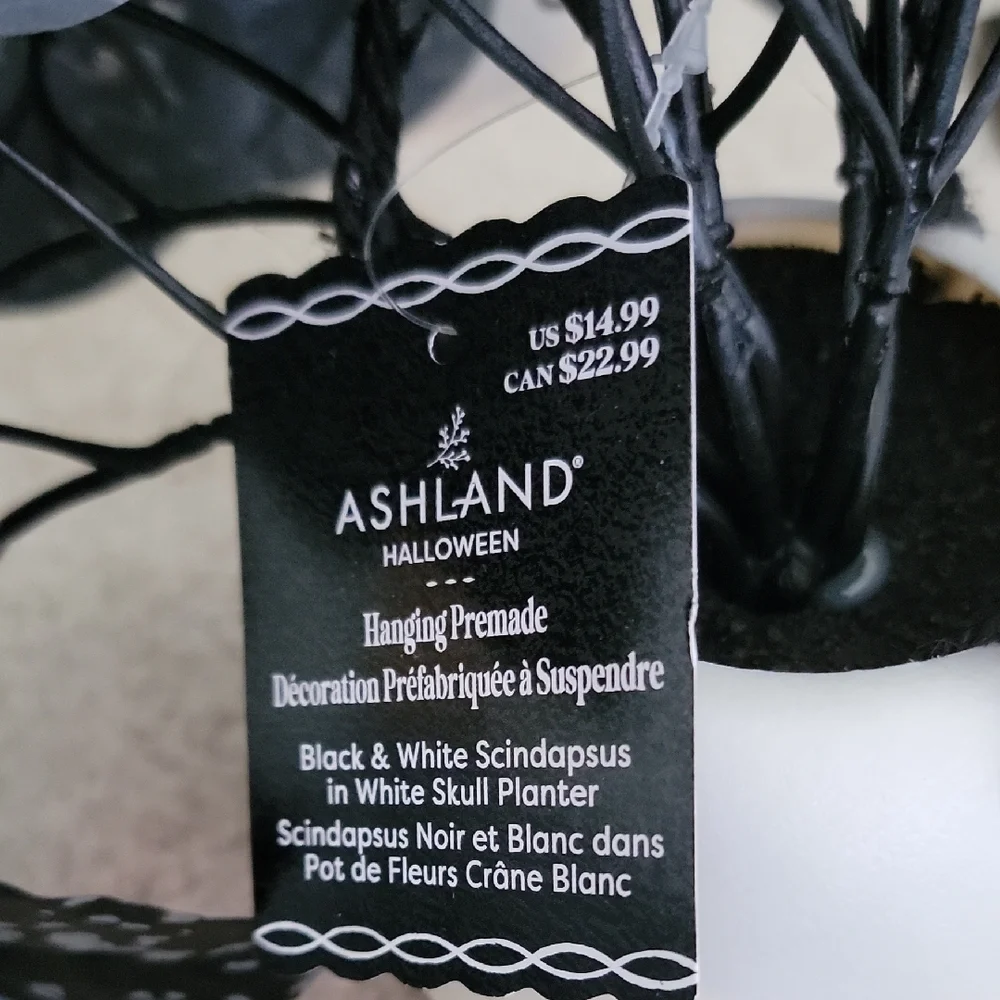 Ashland new halloween