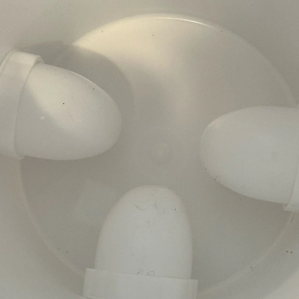 Chicken feeder this chicken
