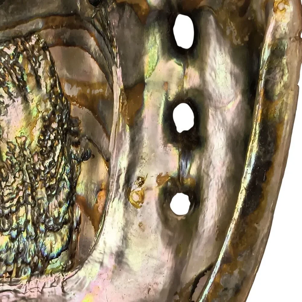 Vintage large abalone