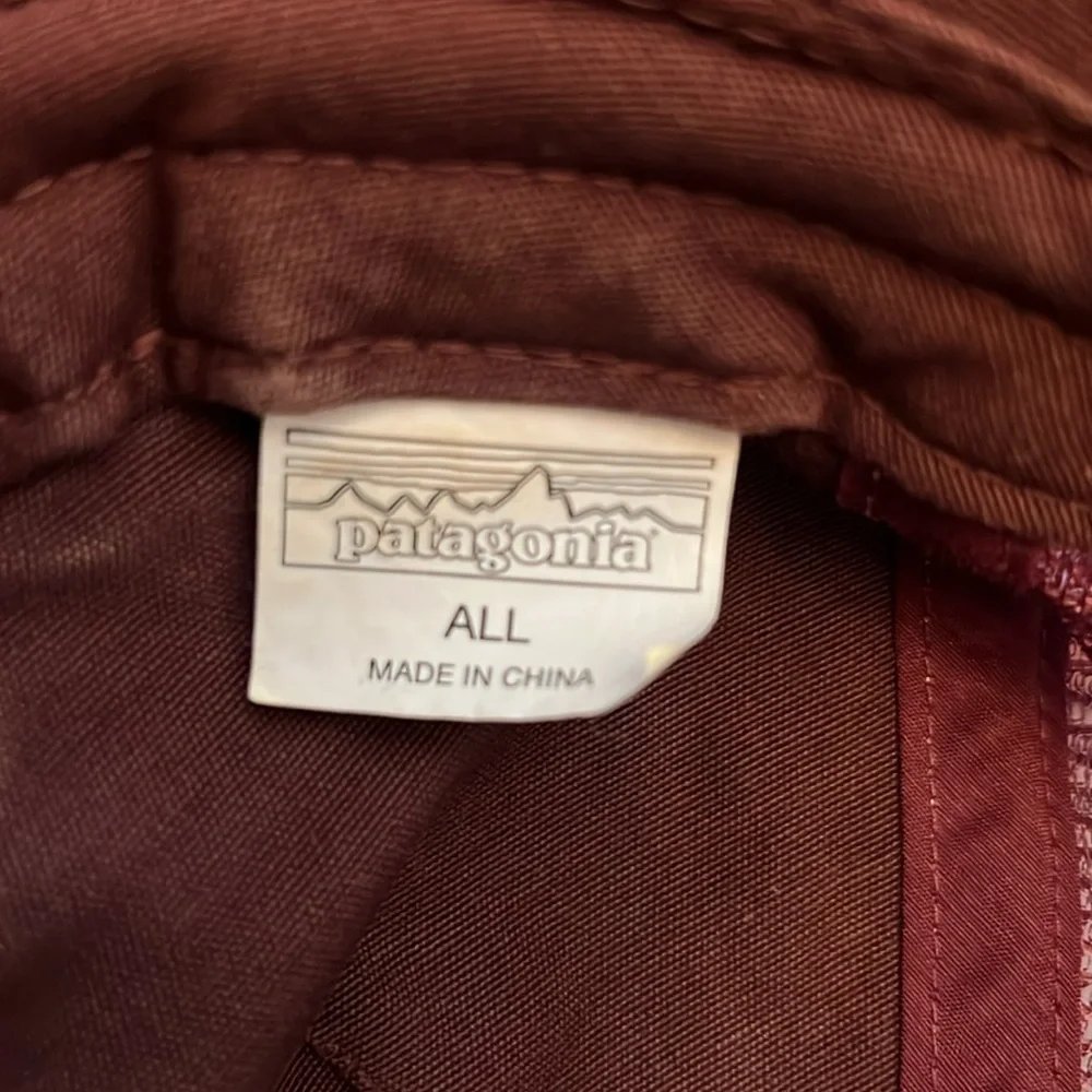 Patagonia trucker hat
