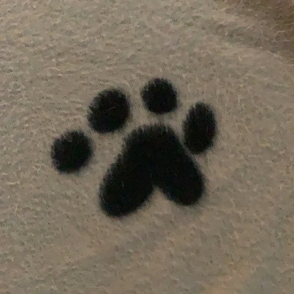 ONE Dog blanket big and soft - buy 2 for $16 and pay only one shipping!