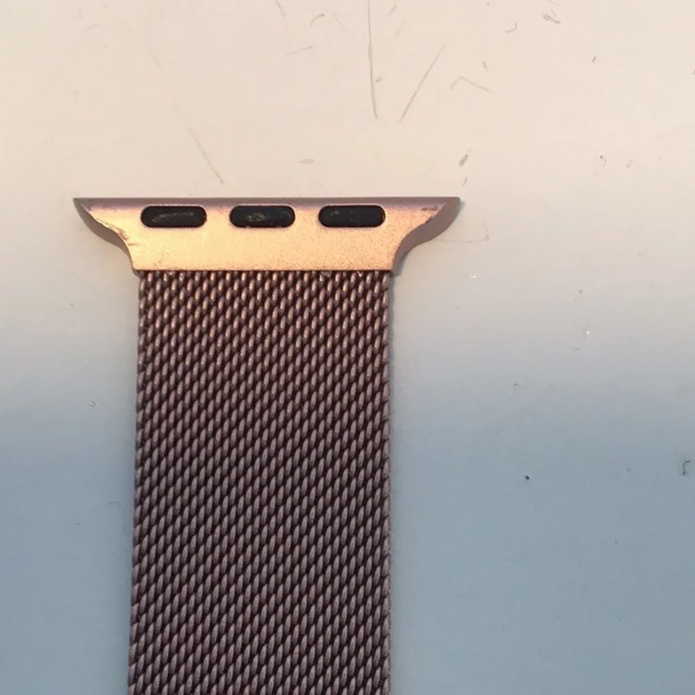 Apple steel mesh