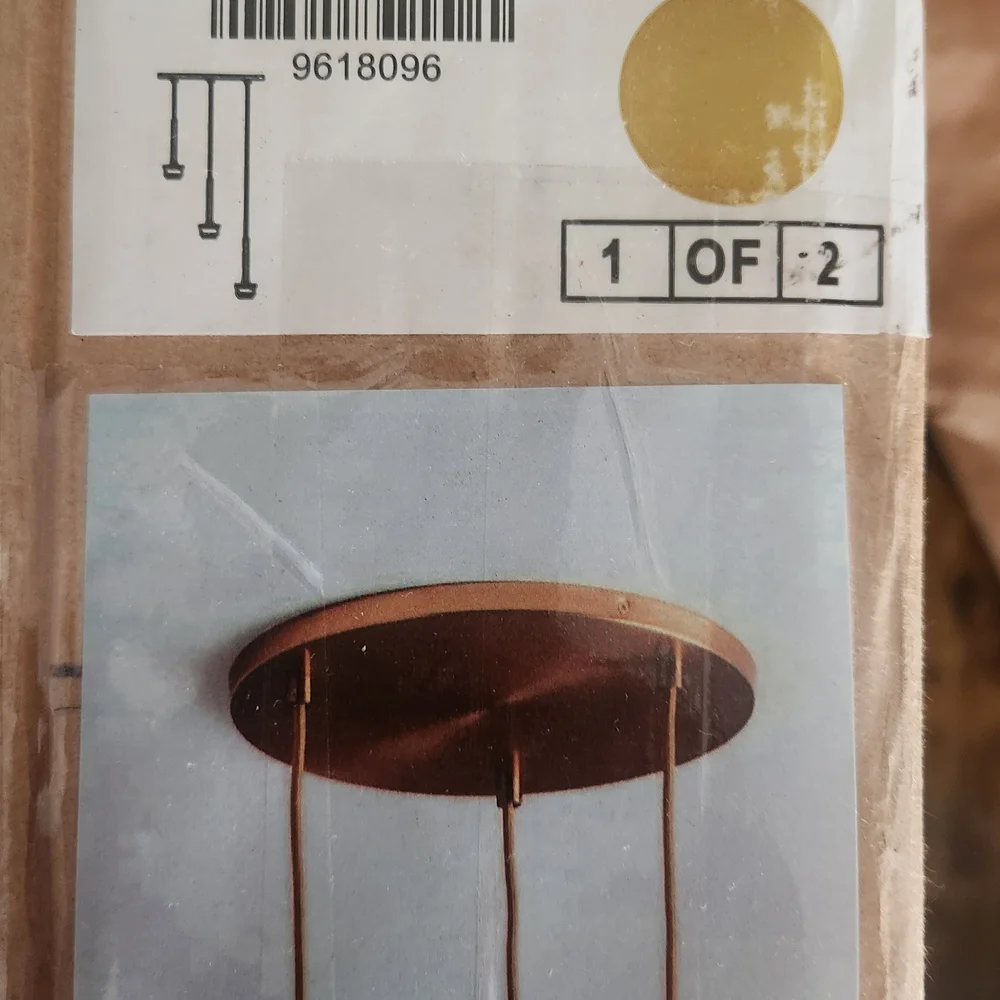 West Elm elegant pendant