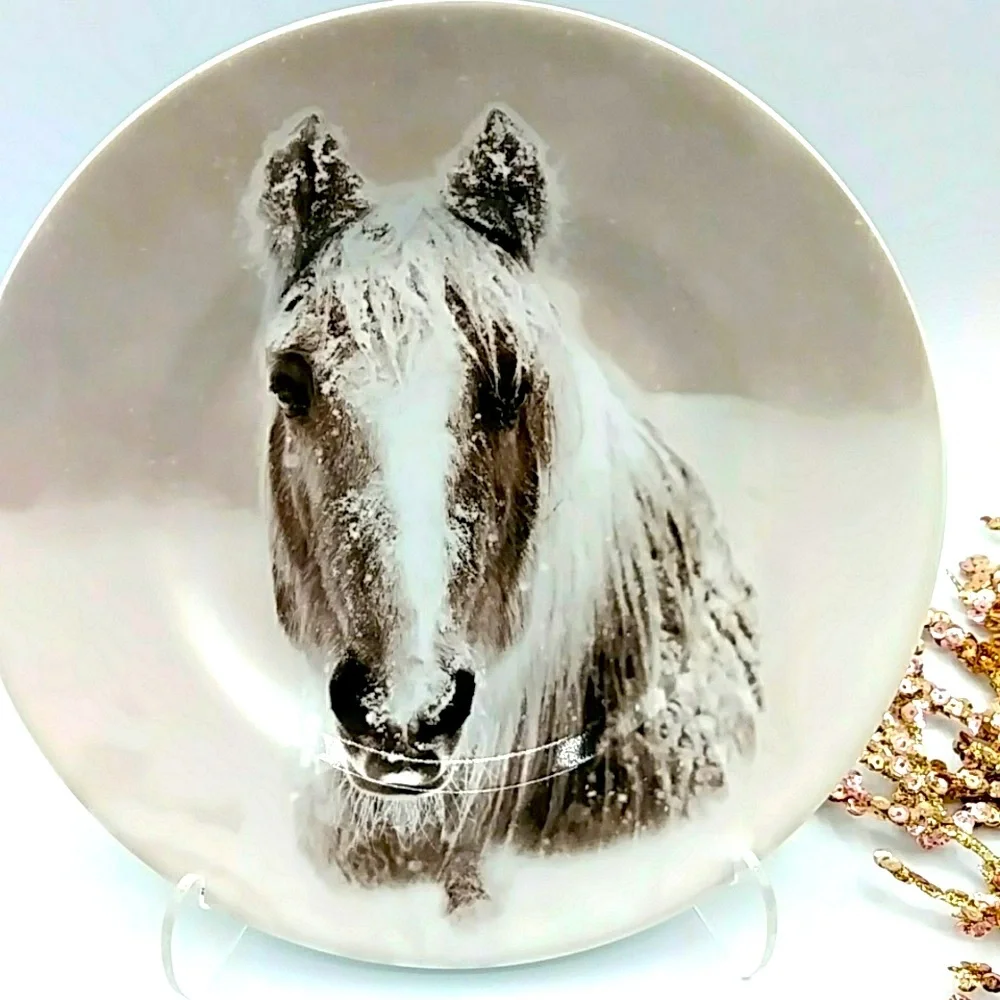 🐴HP! Pier 1 Pair of Accent Plates, Snow Forest Winter Horse. 8.5”