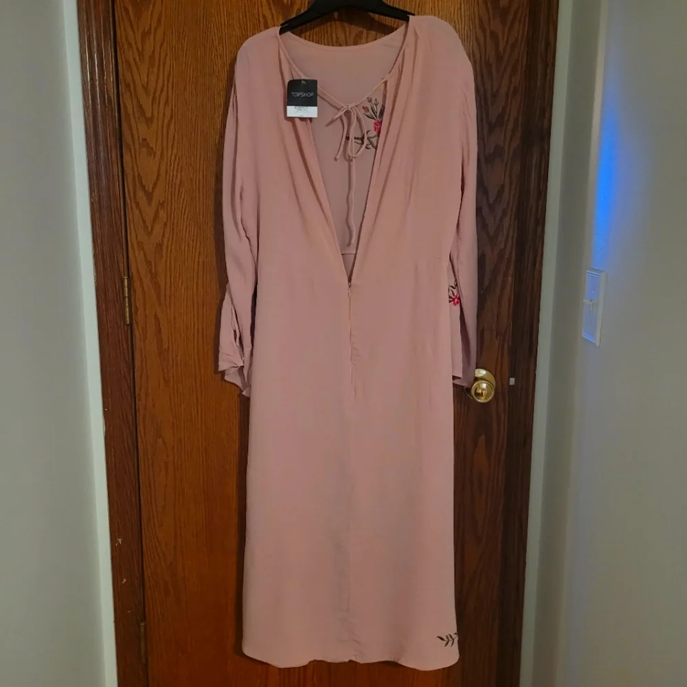 NWT / TopShop Elegant Pink Embroidered Dress