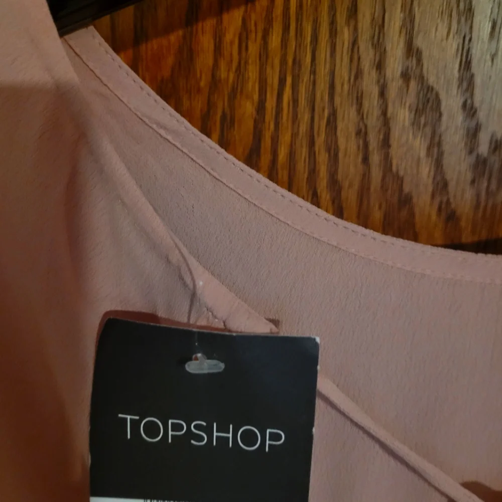 NWT / TopShop Elegant Pink Embroidered Dress