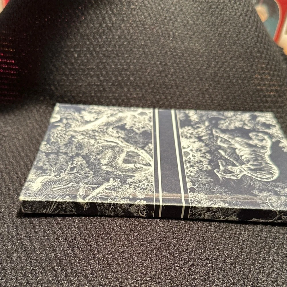 Dior elegant christian