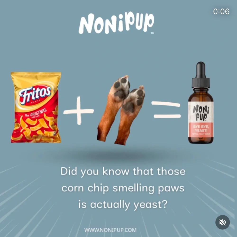 NEW Nonipup Dog Yeast Paw and Ear Serum