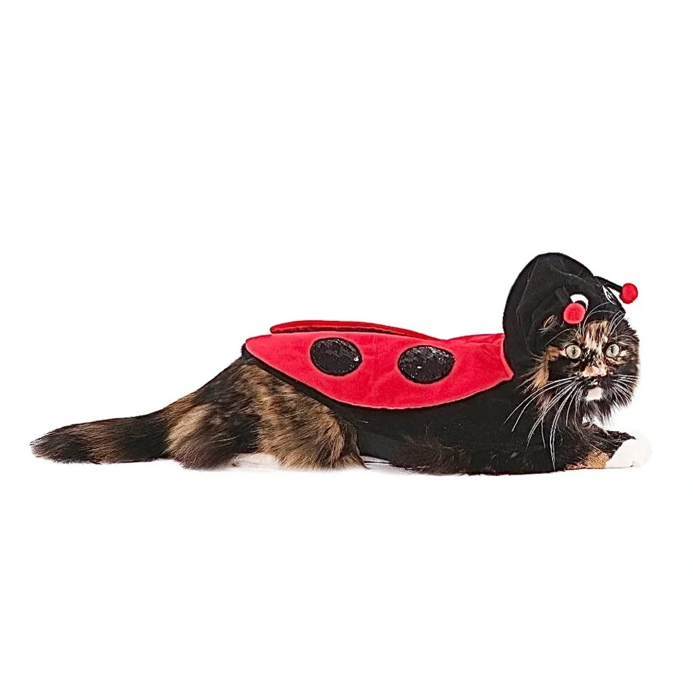 N/A your pet