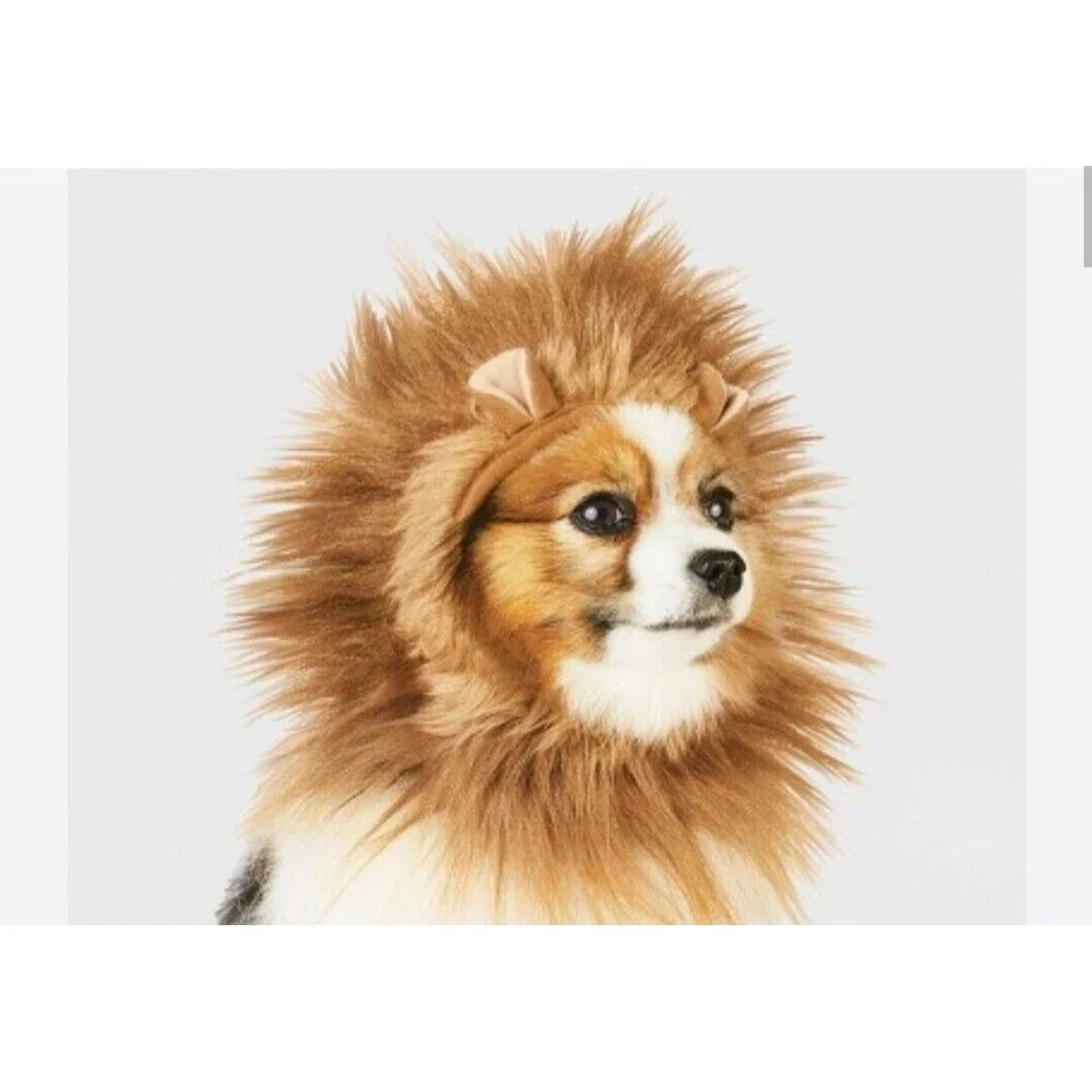 Hyde & Eek! Lion Head Dog and Cat Halloween Costume, Size Small/medium