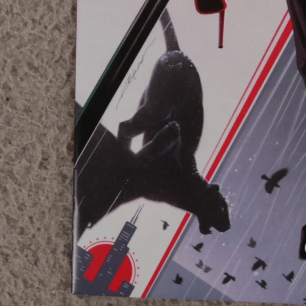 N/A title catwoman