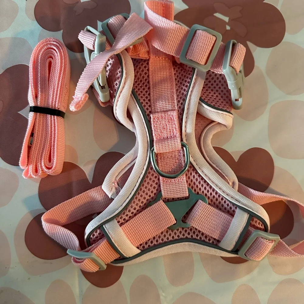 Cat Harness and Leash Set