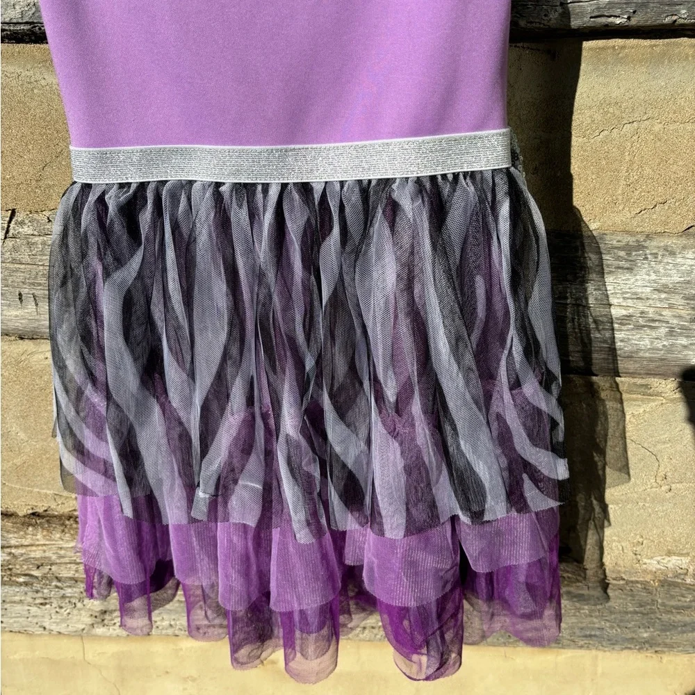 Princess Costume by LOL Suprise Purple and Silver Dress Size 6 (Child)