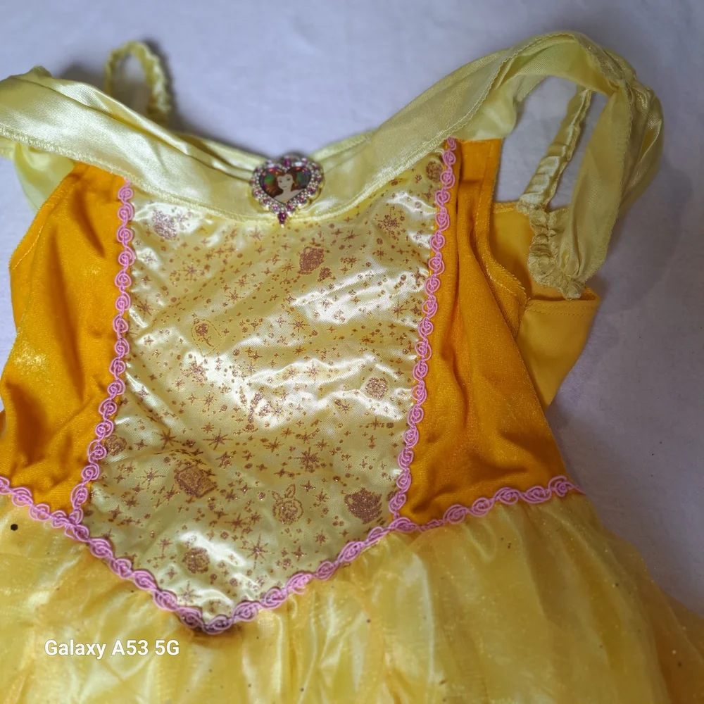 Disney magical used