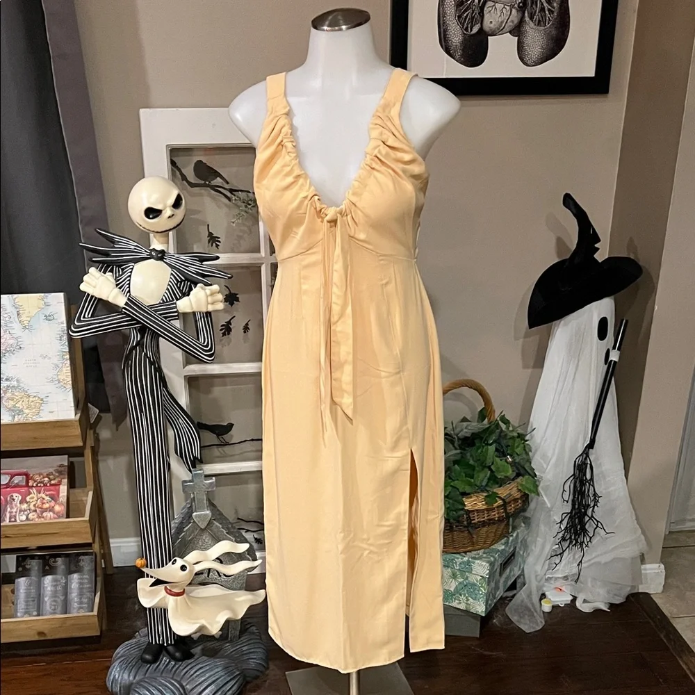 Abercrombie & Fitch Maxi Dress