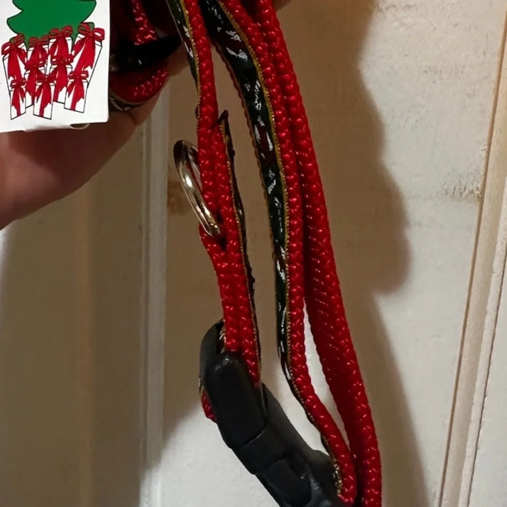 Casual Canine festive dog