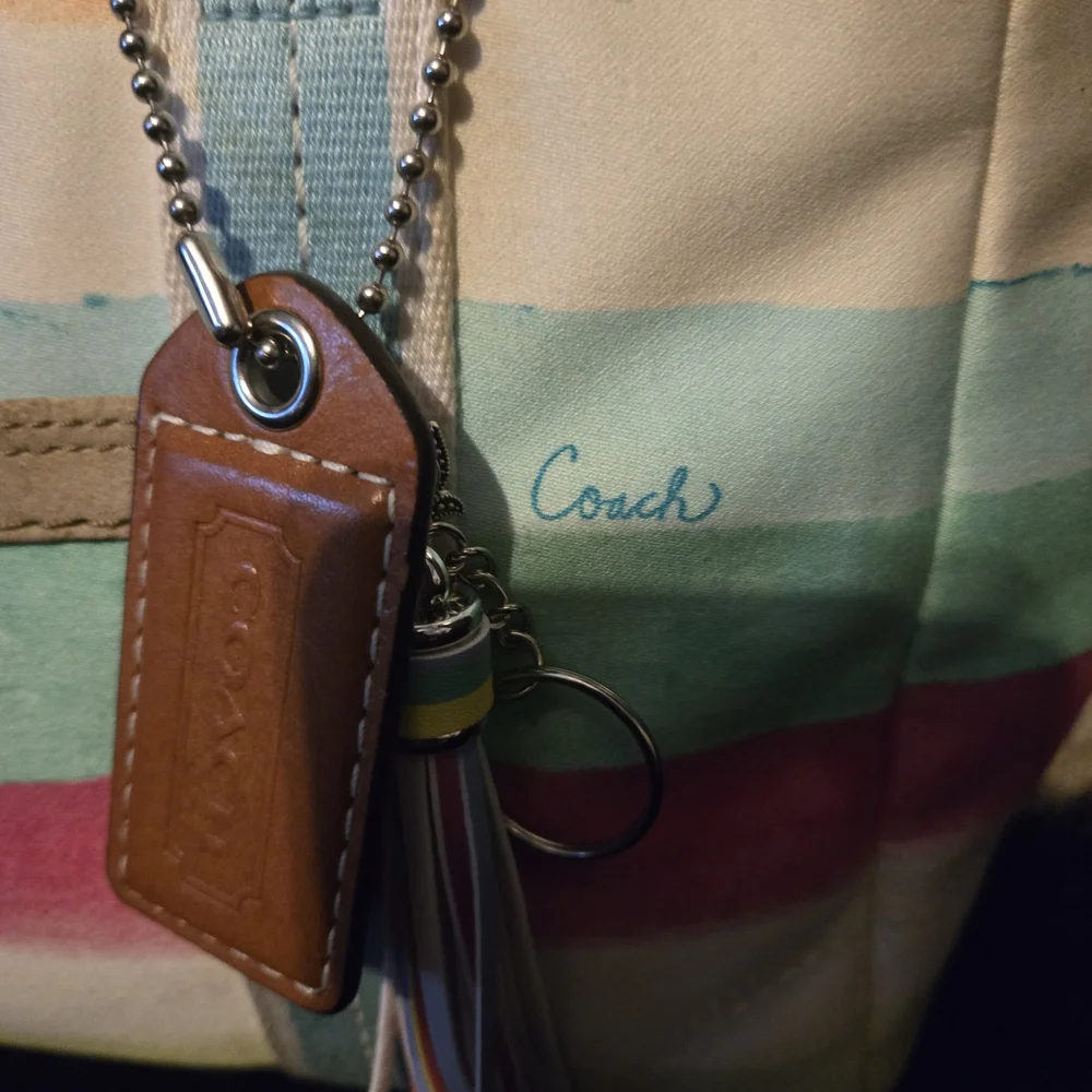 Coach stylish vibrant