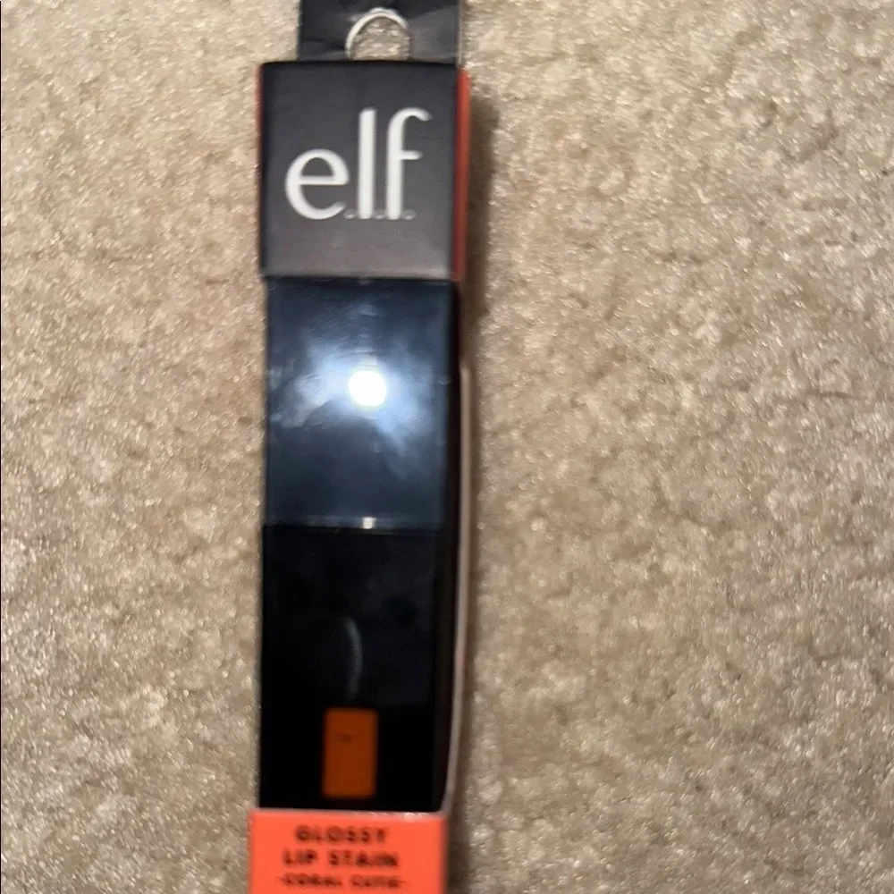 ELF experience vibrant