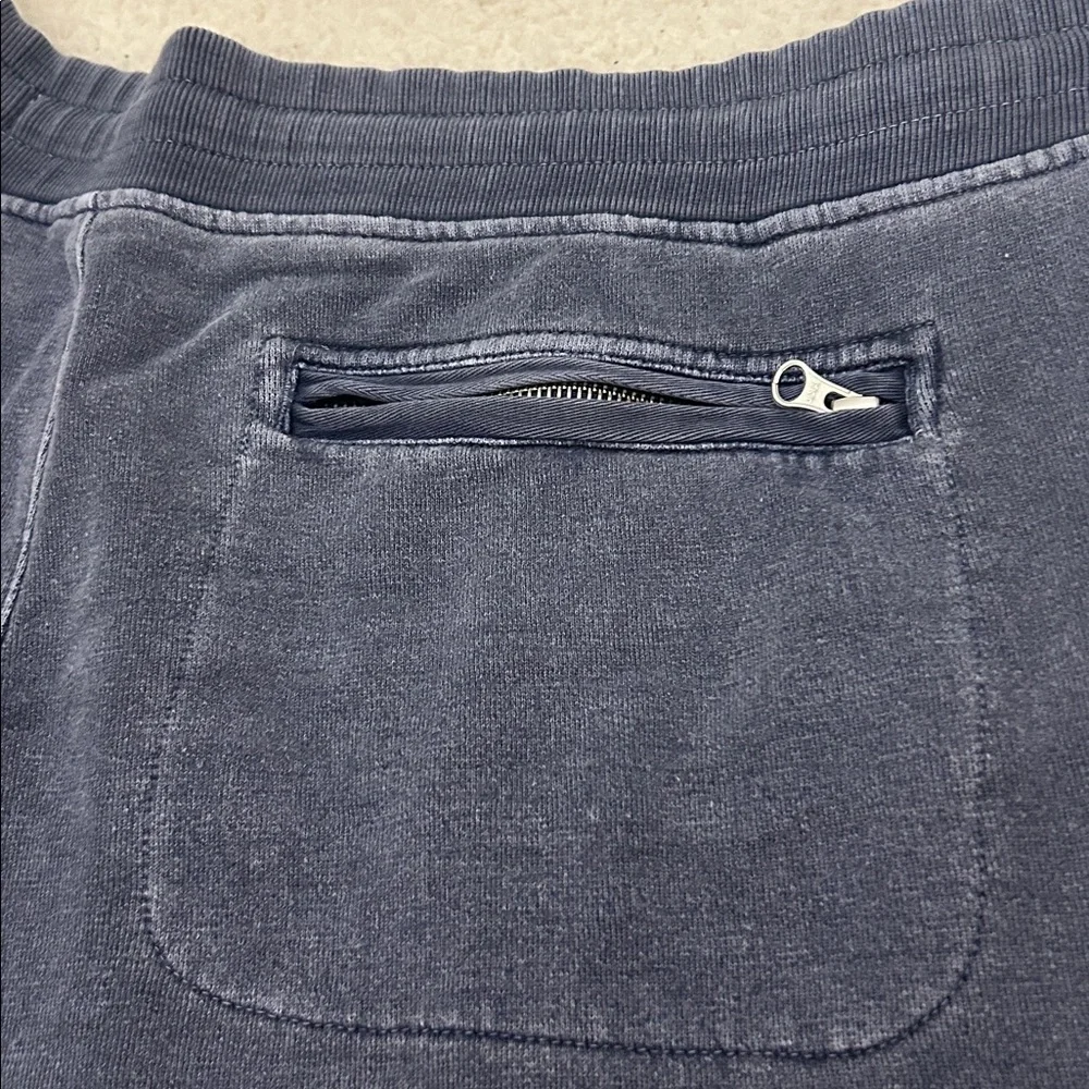 Outerknown sweat pants