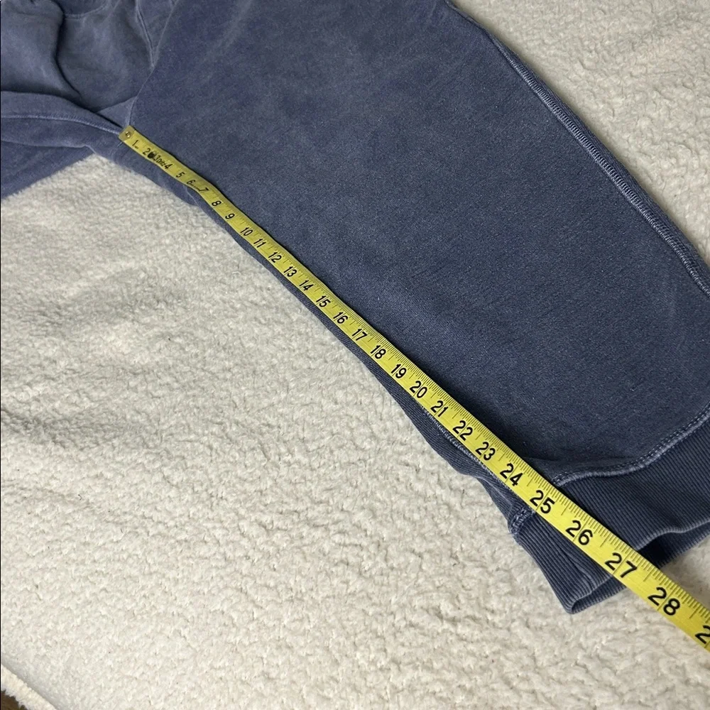 Outerknown sweat pants