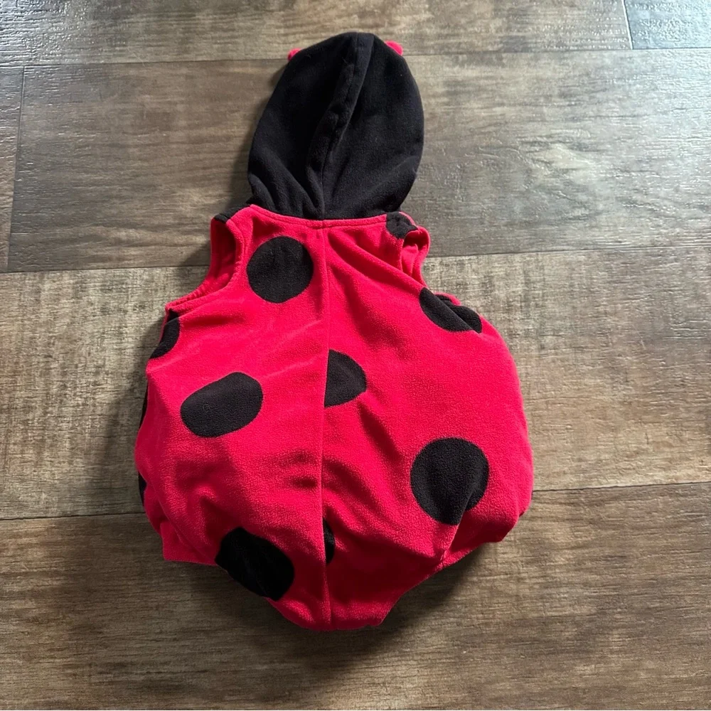Carter’s lady bug costume 6-9 month