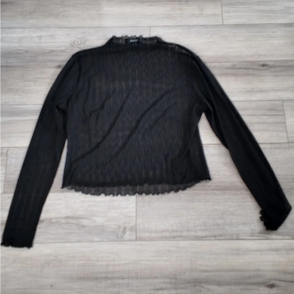 Sheer Pleated Boat Neck Top – Plus Size 0X, Elegant Long Sleeve Blouse