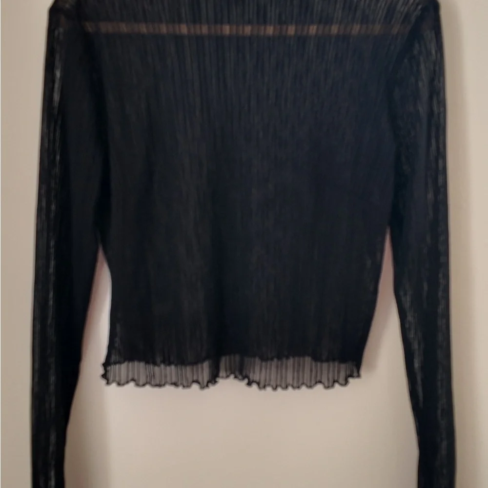 Sheer Pleated Boat Neck Top – Plus Size 0X, Elegant Long Sleeve Blouse