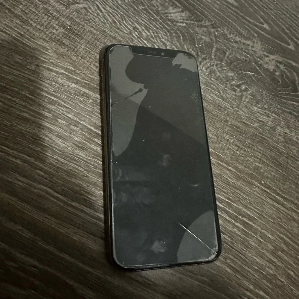 Apple discover elegance
