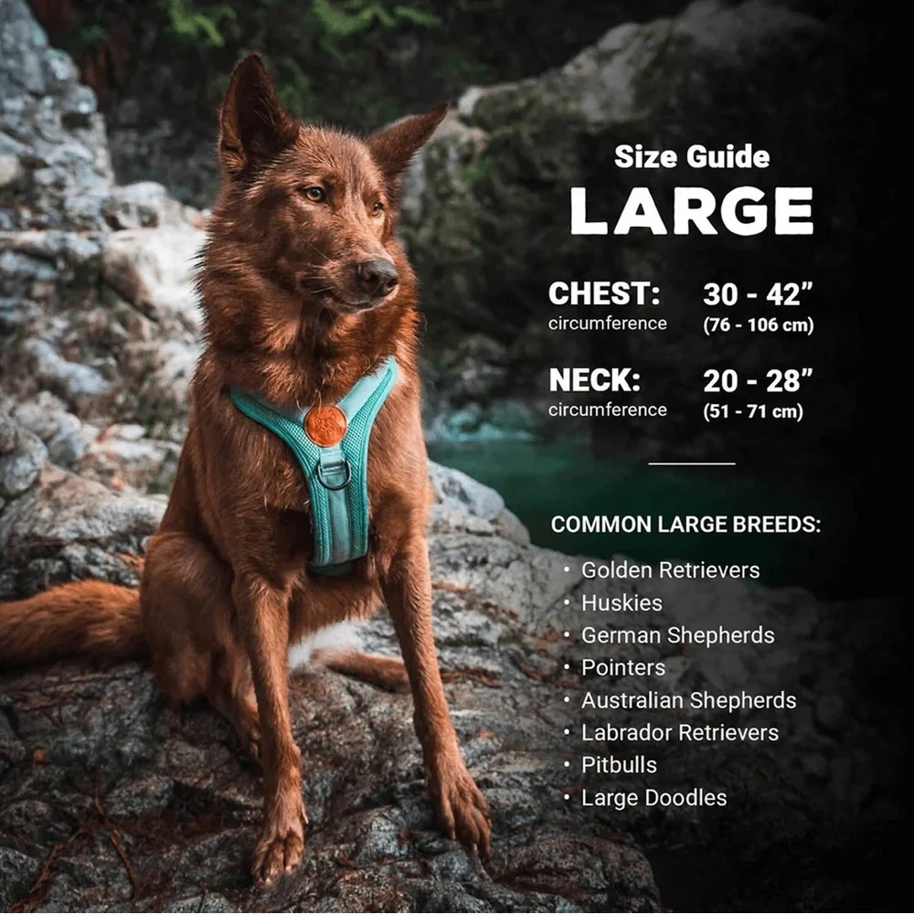 Wilderdog like new