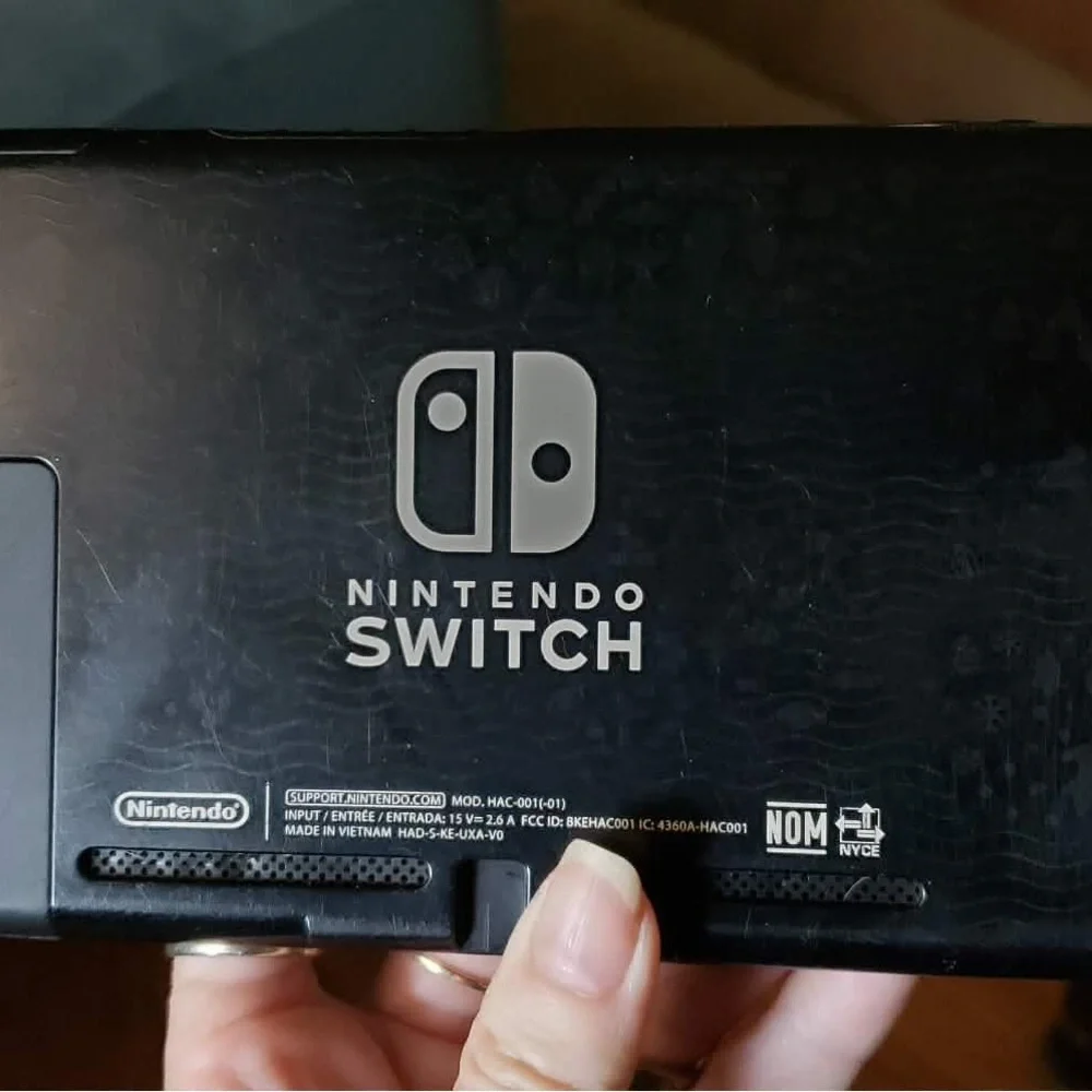 Nintendo **main description