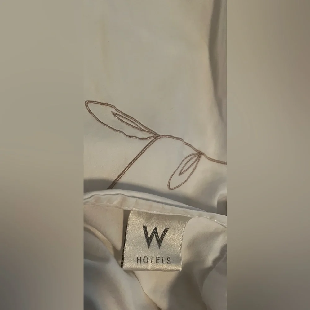 W Hotel hotel brand