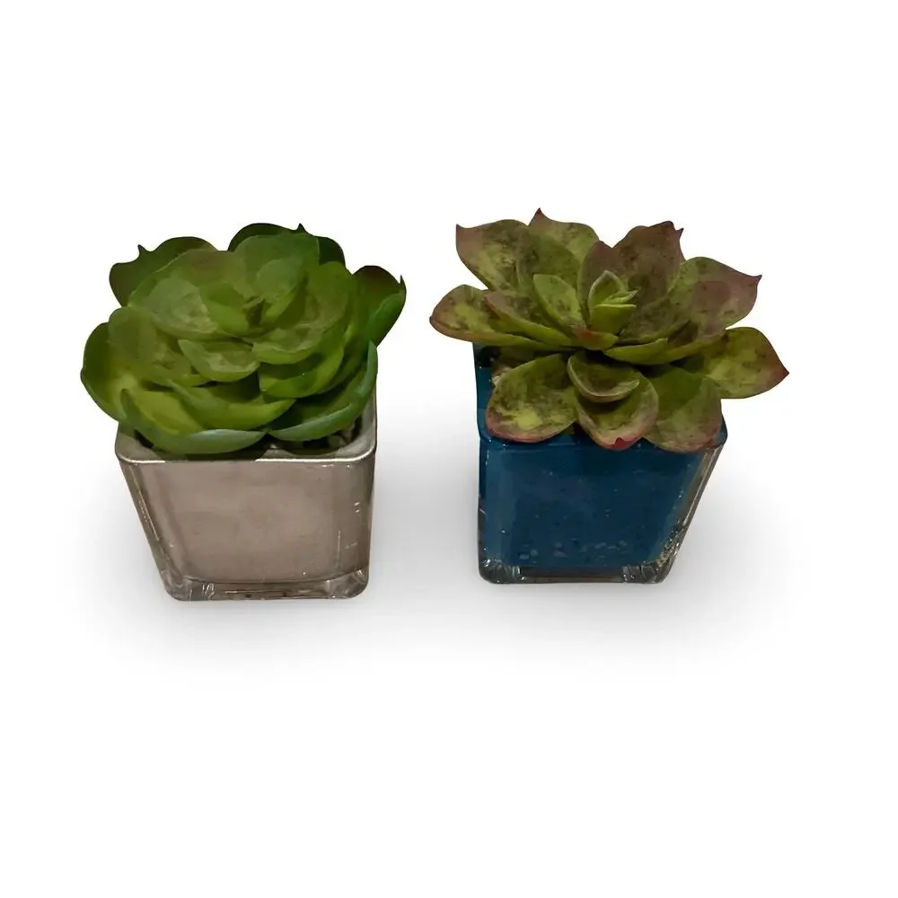 Set of Artificial Succulents