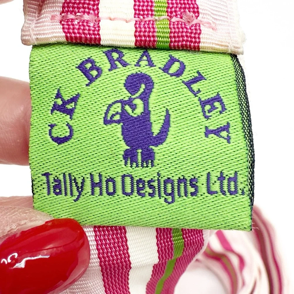 CK Bradley Pinks and Green Striped Ribbon Belt with Silver Buckle, Size Medium