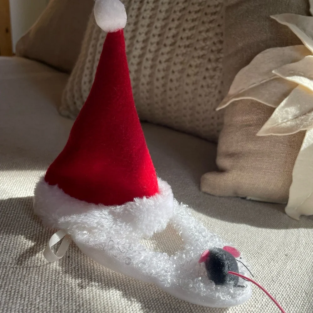 🎅 Cat Santa Costume | Festive Holiday Outfit | Christmas Pet Costume