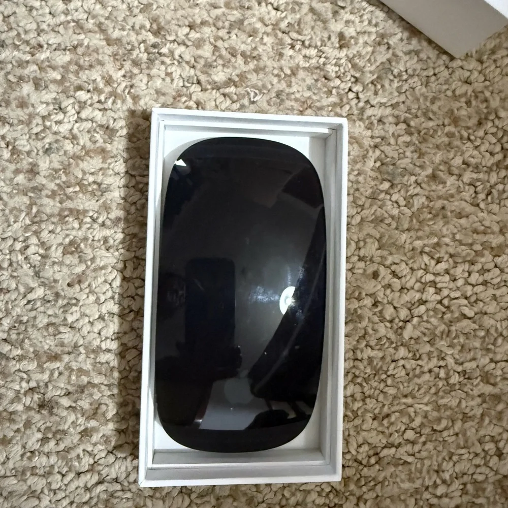 Apple Wireless Mouse in Silver and Black
