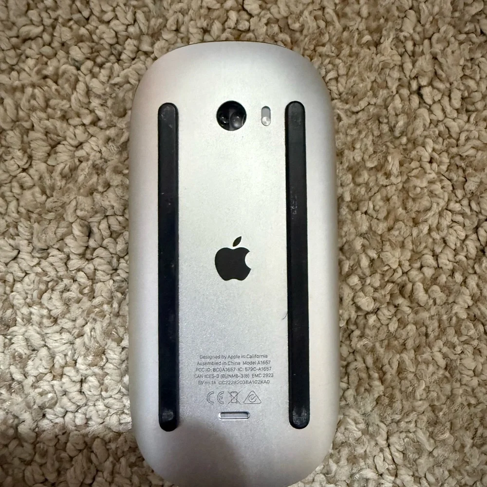 Apple Wireless Mouse in Silver and Black