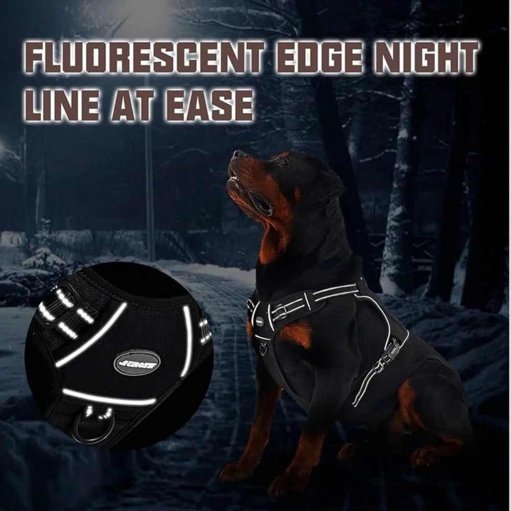 Auroth enforcement easy
