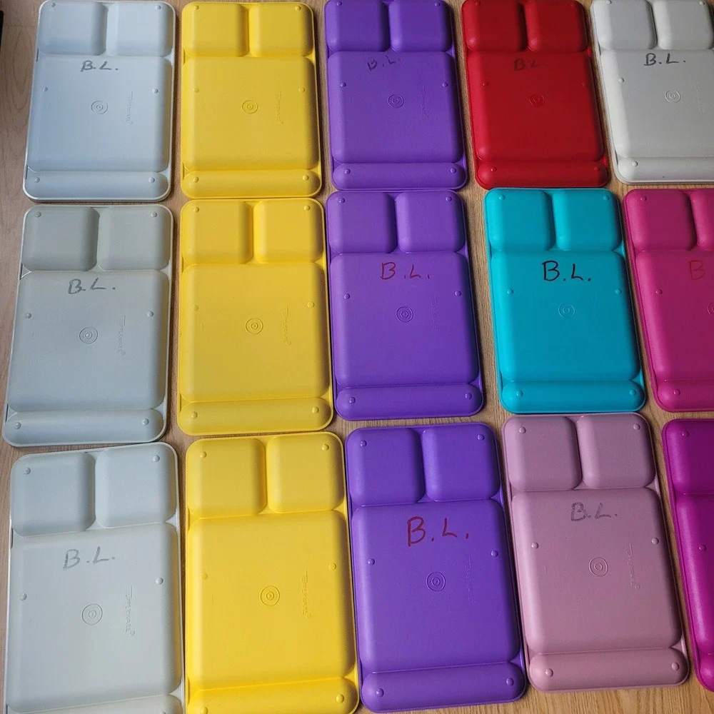 Tupperware plastic trips