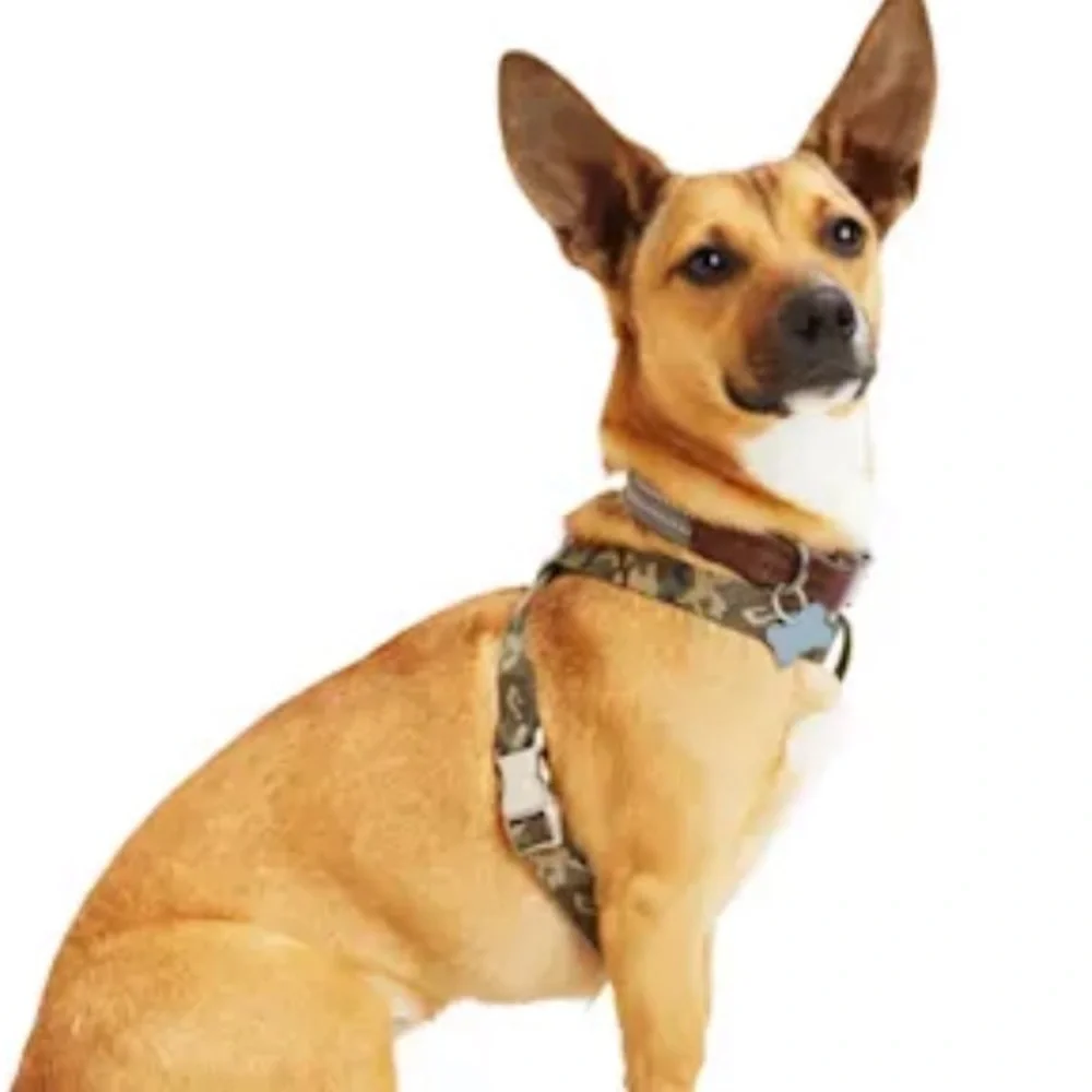 NWT Redy green Camo dog harness L