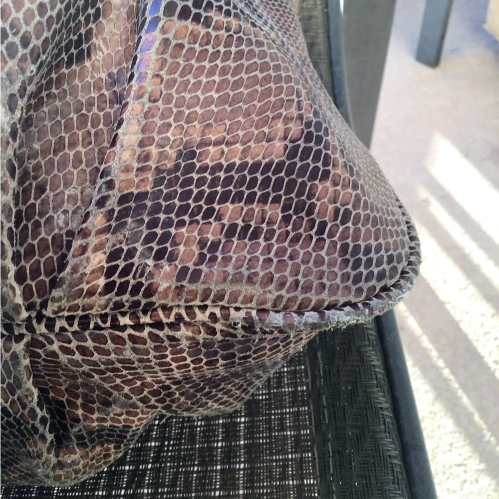brown python