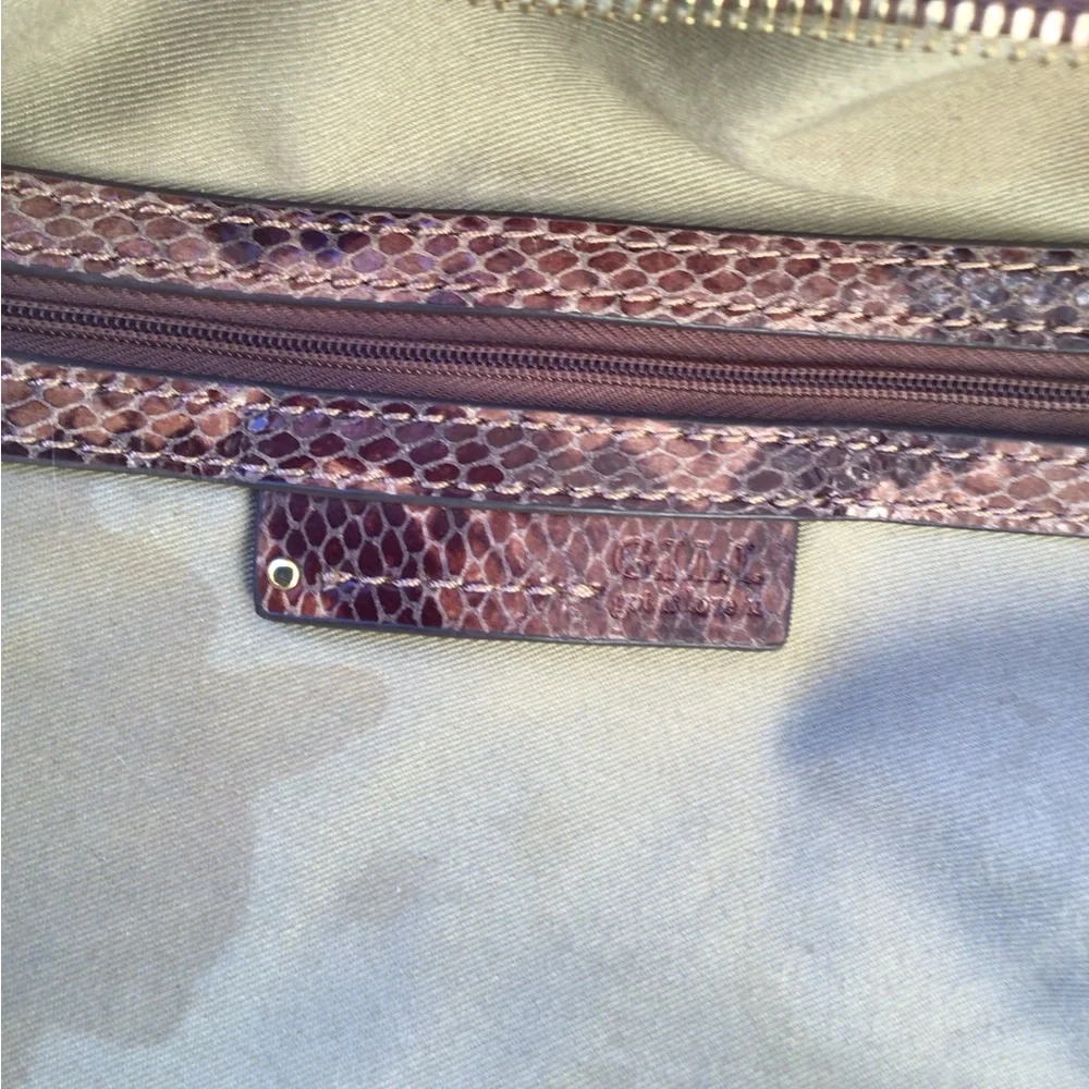 brown python