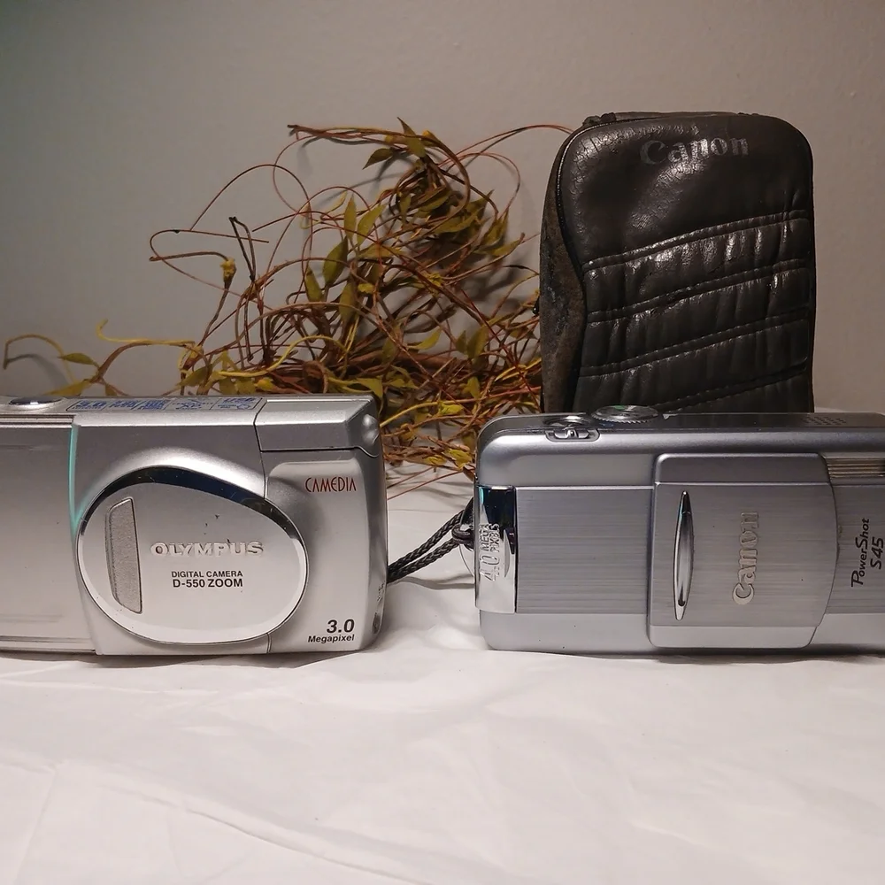Olympus Silver Camedia D-550 Compact Digital Camera And Canon With Beat Up Case