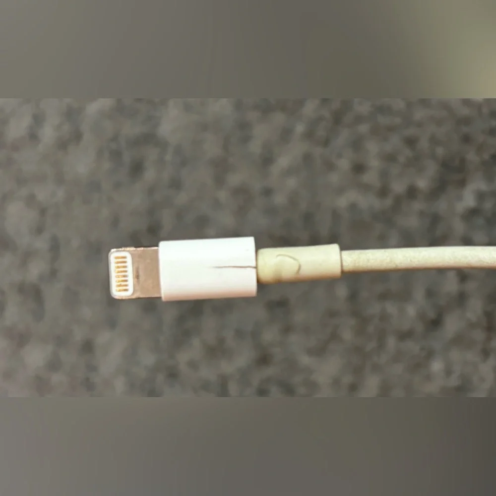 Apple genuine oem