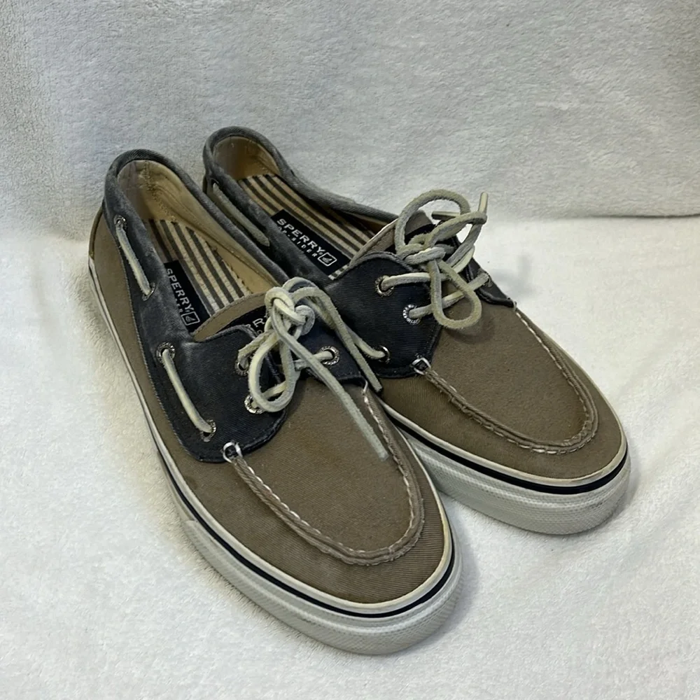 Sperry men’s canvas