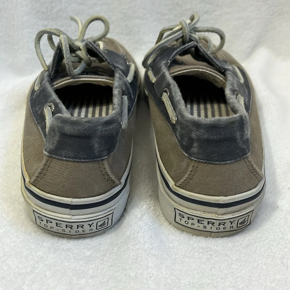 Sperry men’s canvas