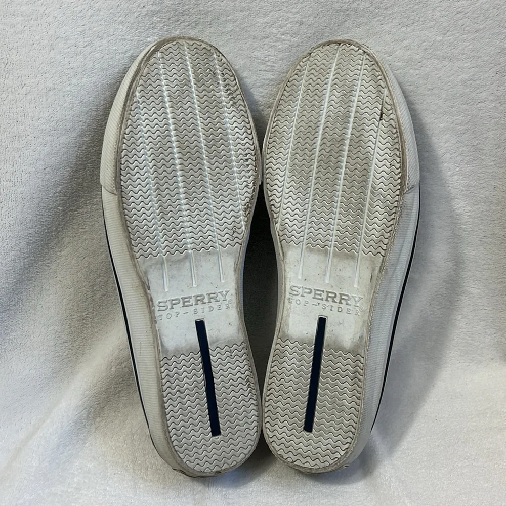 Sperry men’s canvas