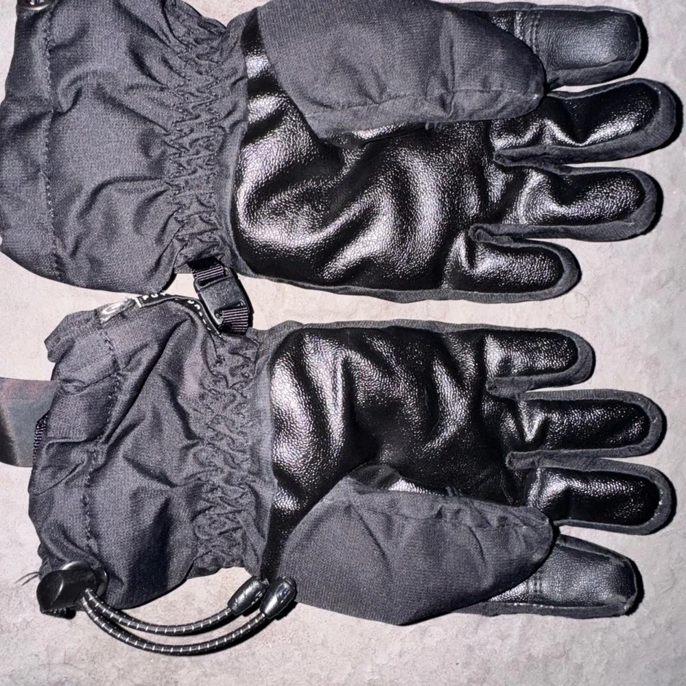 The north face gloves